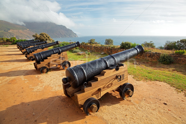 Old cannons Stock photo © EcoPic