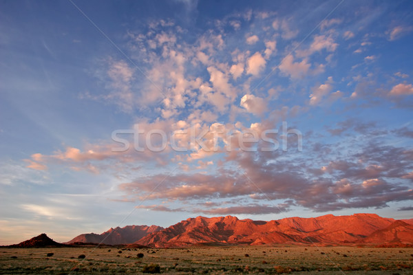 Desert landscape  Stock photo © EcoPic