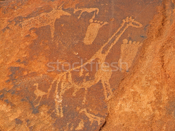 Kő afrikai vadvilág régészeti helyszín Namíbia Stock fotó © EcoPic