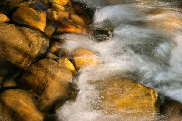 Flowing water Stock photo © EcoPic