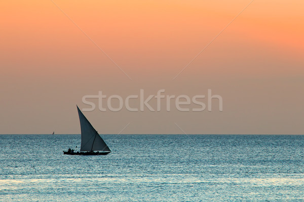 ヨット 水 シルエット 小 日没 海 ストックフォト © EcoPic