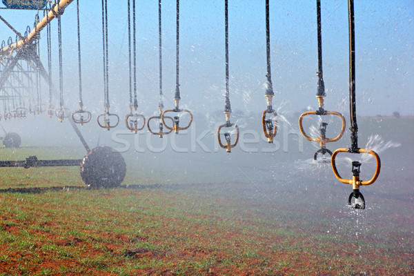 Pivot irrigation Stock photo © EcoPic