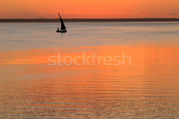 Beach sunset Stock photo © EcoPic