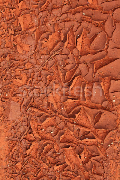 ひびの入った 泥 赤 自然 背景 土壌 ストックフォト © EcoPic
