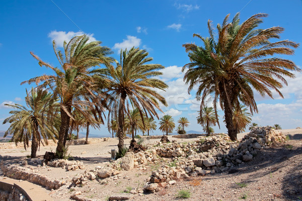 Tel Megiddo National park - Israel Stock photo © EcoPic
