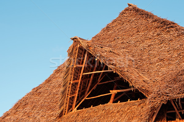 Thatched roof Stock photo © EcoPic
