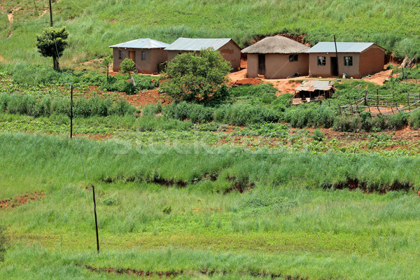 Rural settlement Stock photo © EcoPic