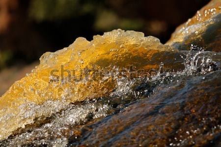 Flowing water Stock photo © EcoPic