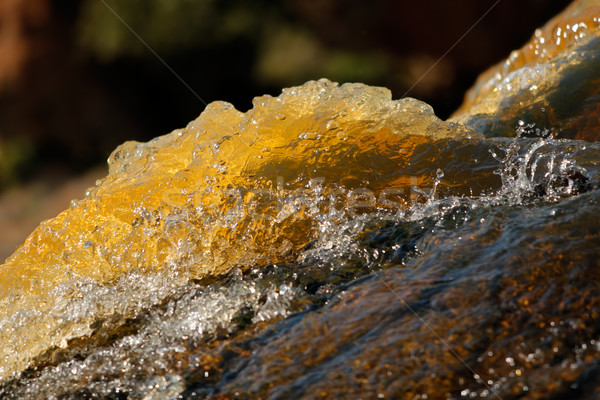 Górskich strumienia wody tekstury Zdjęcia stock © EcoPic