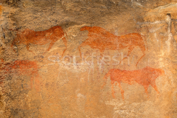 Bushmen rock painting Stock photo © EcoPic