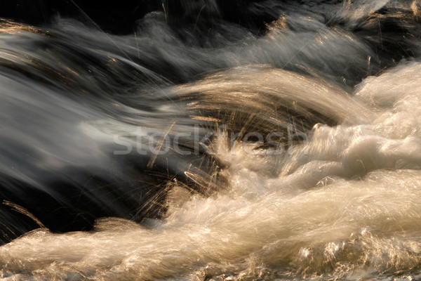 Water in motion  Stock photo © EcoPic