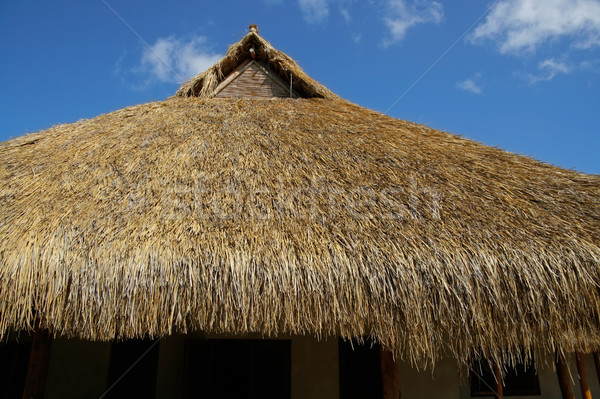 Thatched roof Stock photo © EcoPic
