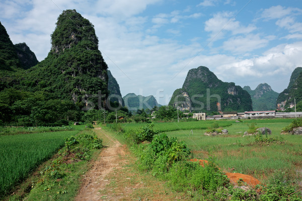 Rural China Stock photo © EcoPic