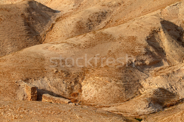 Judean desert landscape Stock photo © EcoPic