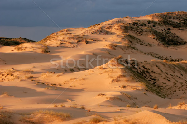 Homok késő délután fény Dél-Afrika textúra Stock fotó © EcoPic