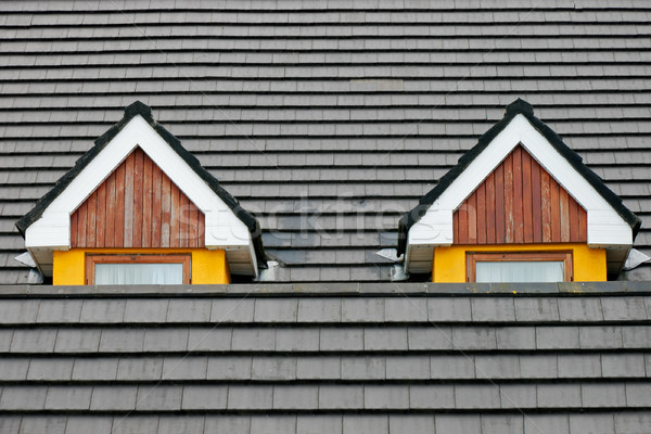 屋根裏 ロフト 窓 タイル張りの 屋根 2 ストックフォト © EcoPic