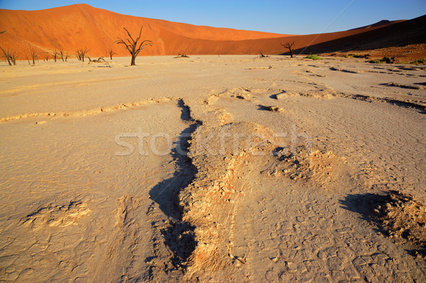 Sossusvlei landscape Stock photo © EcoPic