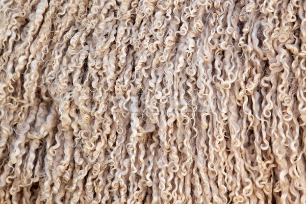Kecske gyapjú természet haj háttér textil Stock fotó © EcoPic