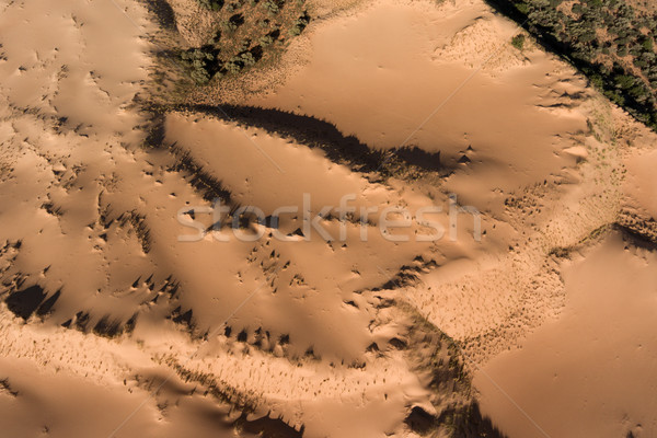 Aerial view of sand dunes - South Africa Stock photo © EcoPic