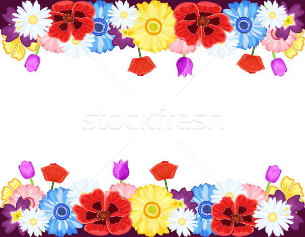 Mooie bloemen voorjaar zomer geïsoleerd Stockfoto © Eireann