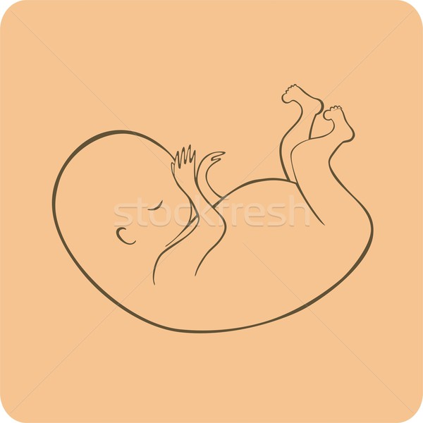 Embryo menselijke baby kid slaap hoofd Stockfoto © ekapanova