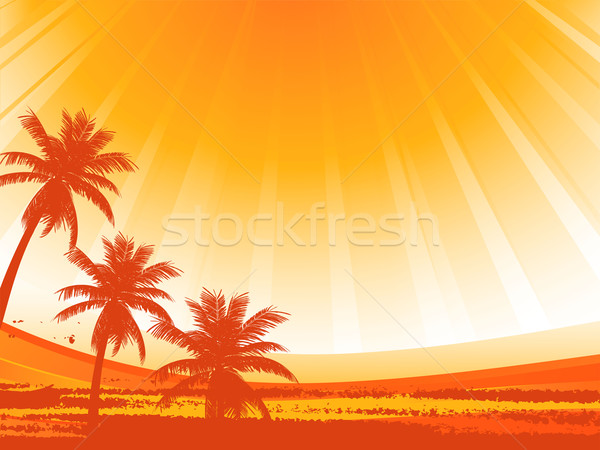 Stock foto: Abstrakten · Palmen · Sonne · Himmel · Natur · Hintergrund