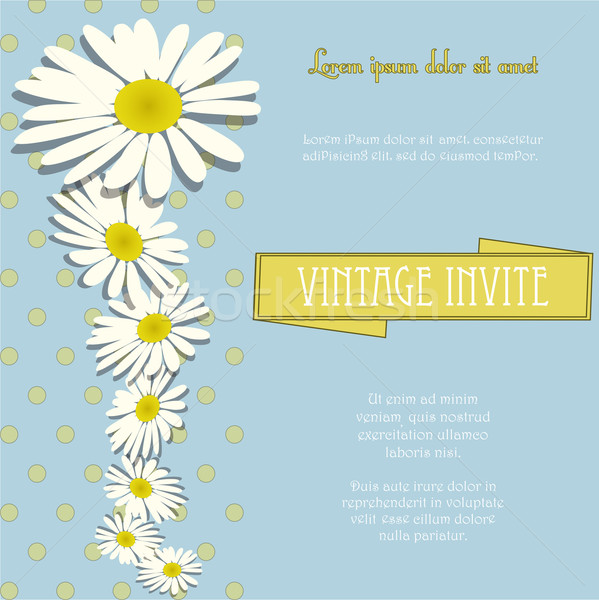 Invite vintage with chamomile flowers and sample text Stock photo © elaine