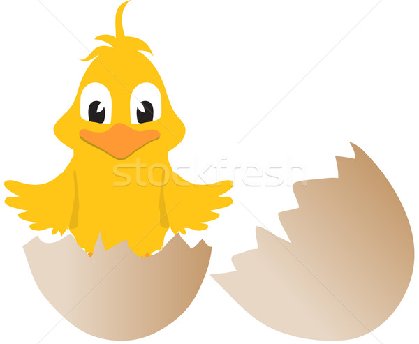 Pasqua chick rotto uovo giallo cartoon Foto d'archivio © elaine