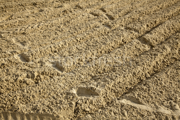 Foto d'archivio: Impronte · sabbia · umani · passo · pneumatico · spiaggia · di · sabbia