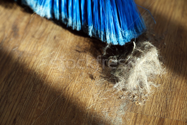 Broom, Dust & Fur Ball on Parquet Floor Stock photo © eldadcarin