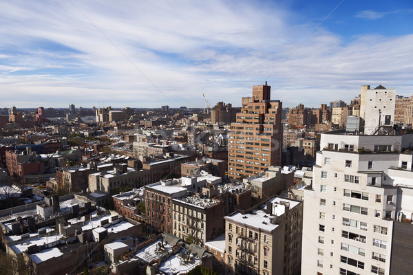 West Village Snow Covered Roof Tops Manhattan New-York Stock photo © eldadcarin