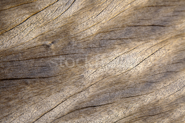Wood Plank Background Stock photo © eldadcarin