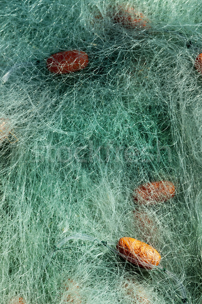 Сток-фото: рыболовная · сеть · зеленый · оранжевый · солнечный · свет