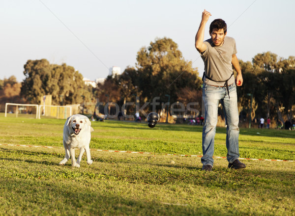 Labrador and Trainer with Dog Chew Toy at Park Stock photo © eldadcarin
