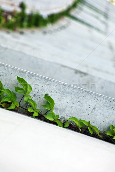 Tilted Abstract Concrete Wall Stock photo © eldadcarin