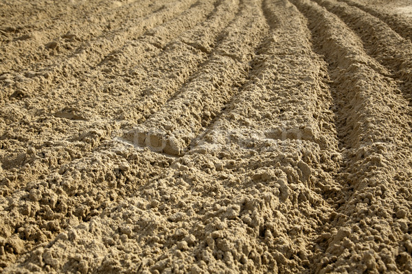 Zdjęcia stock: Piasku · plaży · streszczenie · charakter · tle · brud