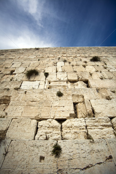 The Wailing Wall Stock photo © eldadcarin