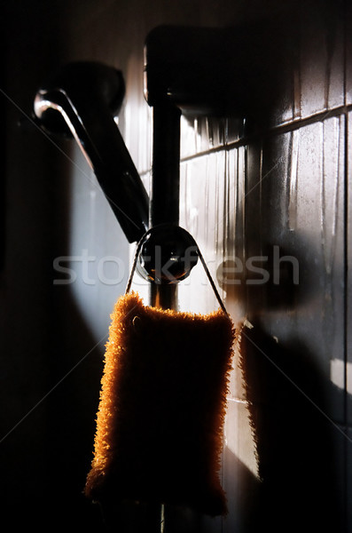 Bath Sponge and Shower Head Silhoettes Stock photo © eldadcarin