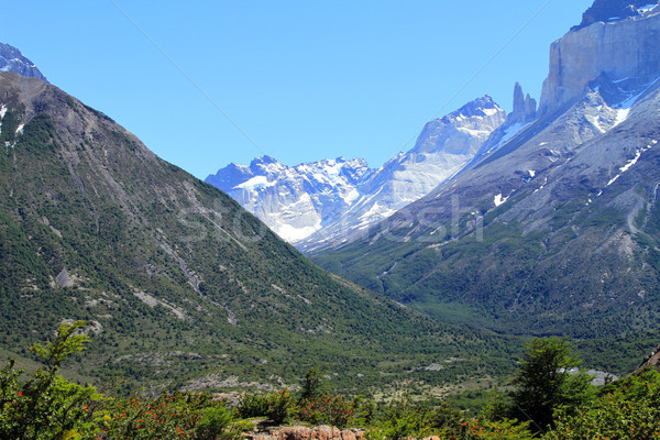 Valley in Patagonia Stock photo © eldadcarin