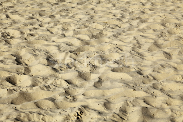 Közelkép folt tengerparti homok homok emberek láb Stock fotó © eldadcarin