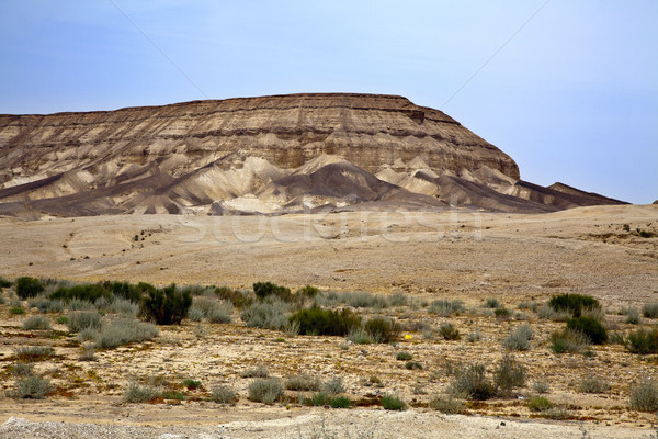 пустыне горные Израиль небе фон Сток-фото © eldadcarin
