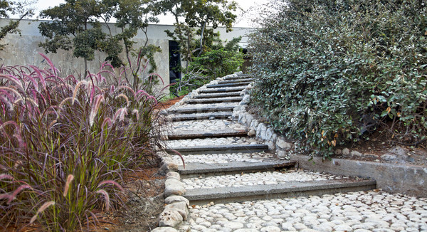 Pastoral Staircase in Urban Garden Stock photo © eldadcarin