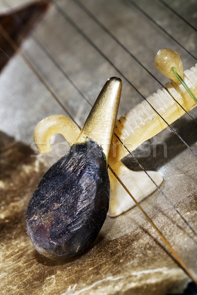 Teer brug macro musical string Stockfoto © eldadcarin