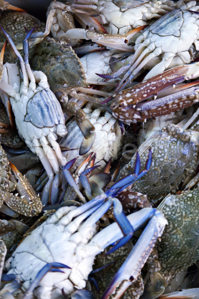Blue Crabs for Sale Stock photo © eldadcarin