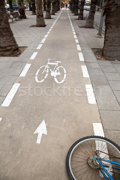 Bicycle Lane & Wheel Stock photo © eldadcarin