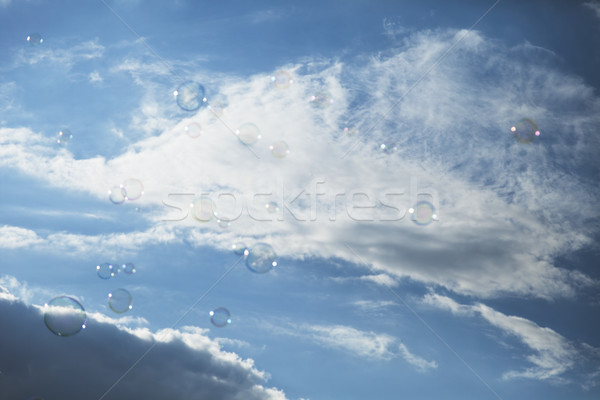 Soap sud bubbles floating in the air on the background of aftern Stock photo © eldadcarin