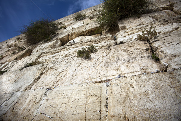 Muro uno sacro persone vecchio città Foto d'archivio © eldadcarin