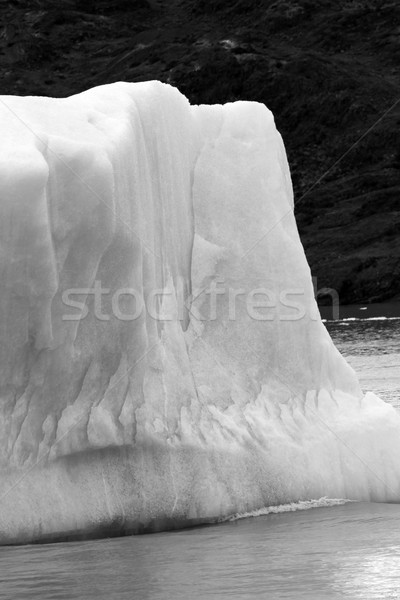 Icerberg Cliff Stock photo © eldadcarin