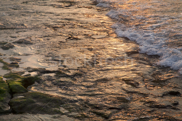 Sekély víz naplemente áradat tenger háttér Stock fotó © eldadcarin