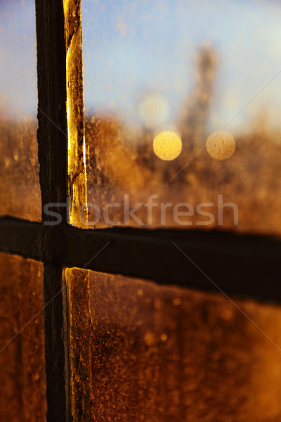 Nachmittag Sonne zurück Beleuchtung befleckt Fenster Stock foto © eldadcarin